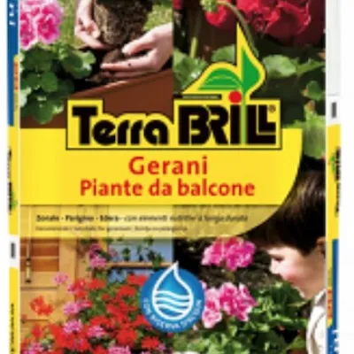 Terriccio gerani Brill di...