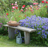 Geranium Magnificum rosemoor