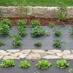 Telo pacciamante 80 gr. altezza metri 1,20 x 10