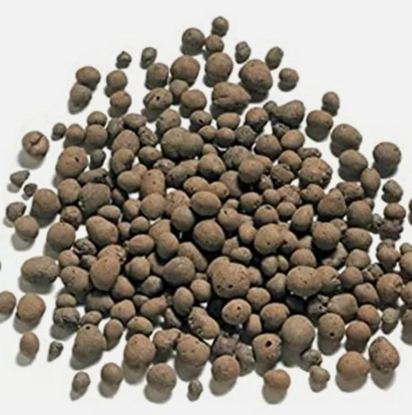 Argilla espansa 10 Lt.  (a cosa serve) leggi descrizione