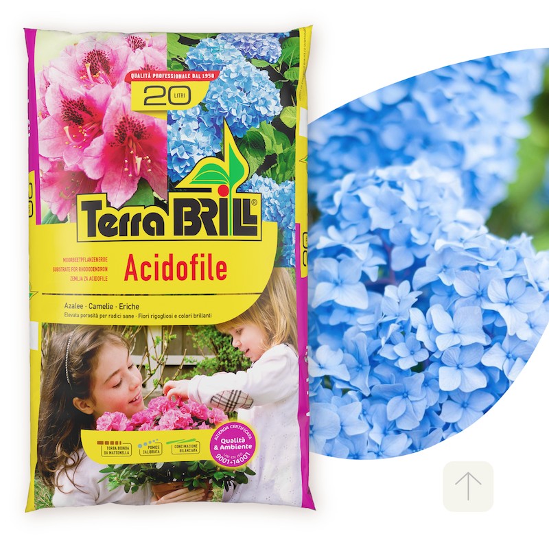 Terriccio per acidofile Brill di alta qualità lt. 20