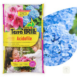 Terriccio per acidofile Brill di alta qualità lt. 20
