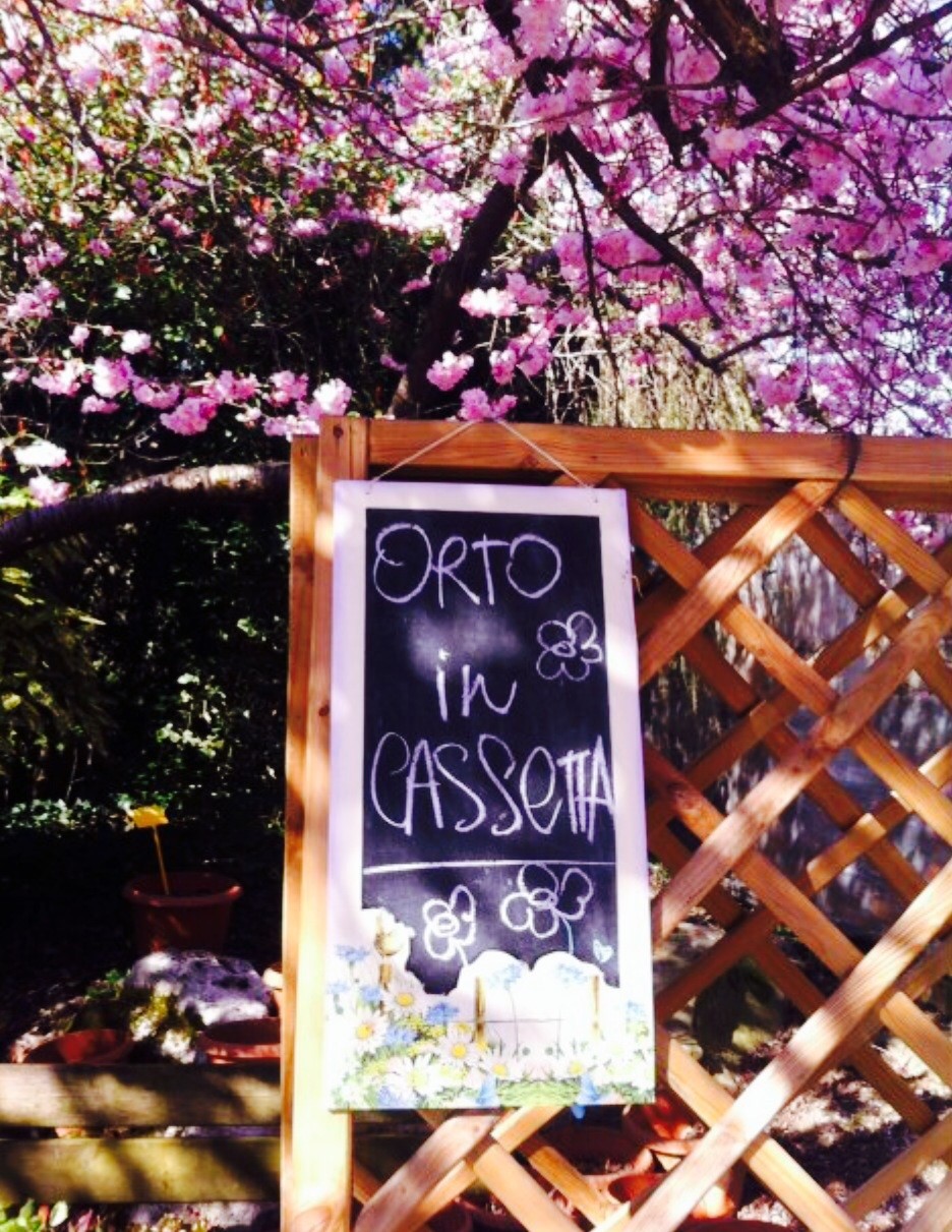Orto in Cassetta!