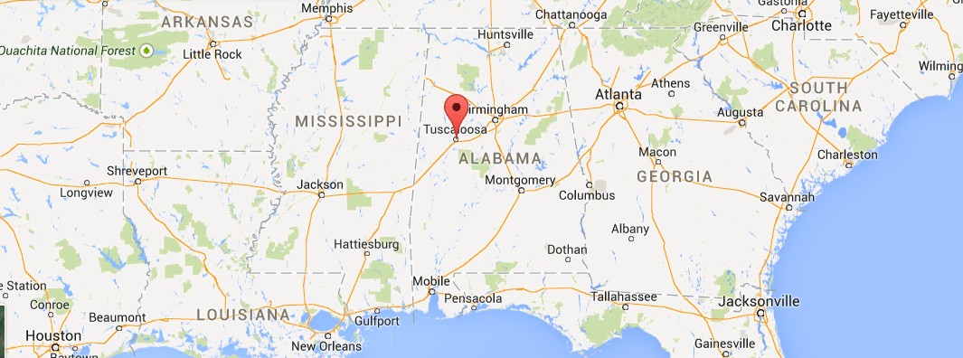 Agave Uthaensis v.erborispina