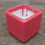 Vaso smaltato per cactus cm. 7x7x7 Rosso