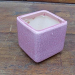 Vaso smaltato per cactus cm. 7x7x7 Rosa