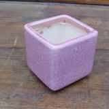 Vaso smaltato per cactus cm. 7x7x7 Rosa