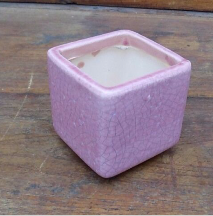 Vaso smaltato per cactus cm. 7x7x7 Rosa