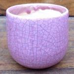 Vaso smaltato per cactus cm. 8,5x7 H. Rosa