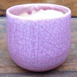 Vaso smaltato per cactus cm. 8,5x7 H. Rosa
