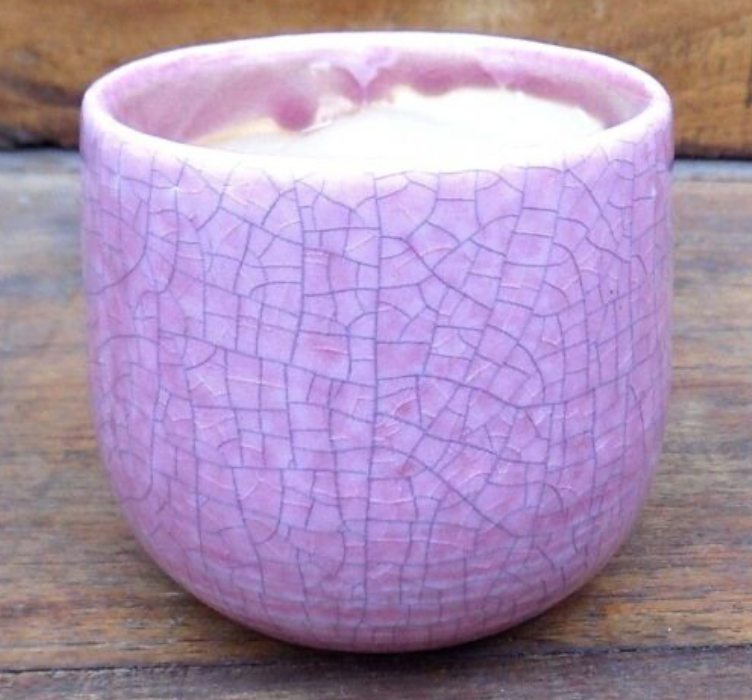 Vaso smaltato per cactus cm. 8,5x7 H. Rosa