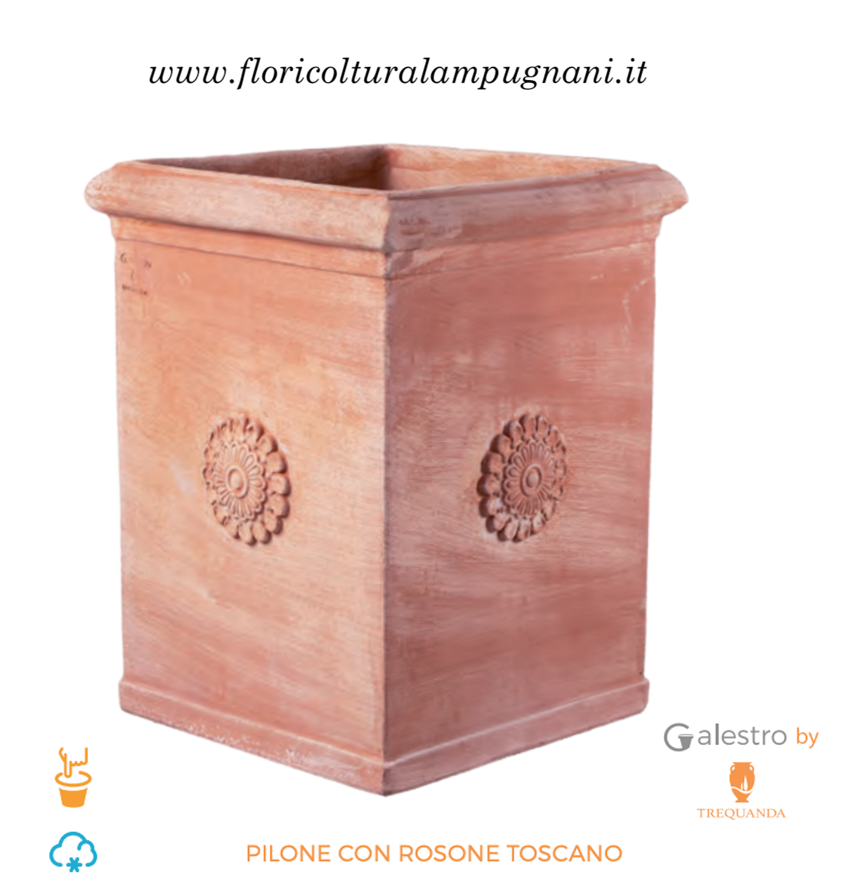 Pilone con rosone cm.70x52x52 solo ritiro in magazzino