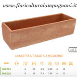 Cassetta grasse cm. 25x8,5 x H.6 cotto Toscano