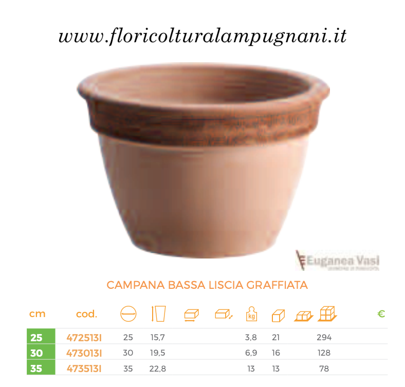 CAMPANA BASSA LISCIA GRAFFIATA cm.30 ritiro in vivaio